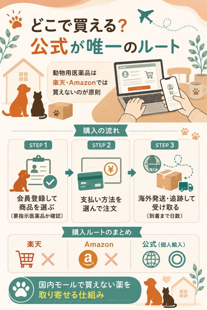 楽天Amazonで買えない理由と公式個人輸入の購入手順を示した図解